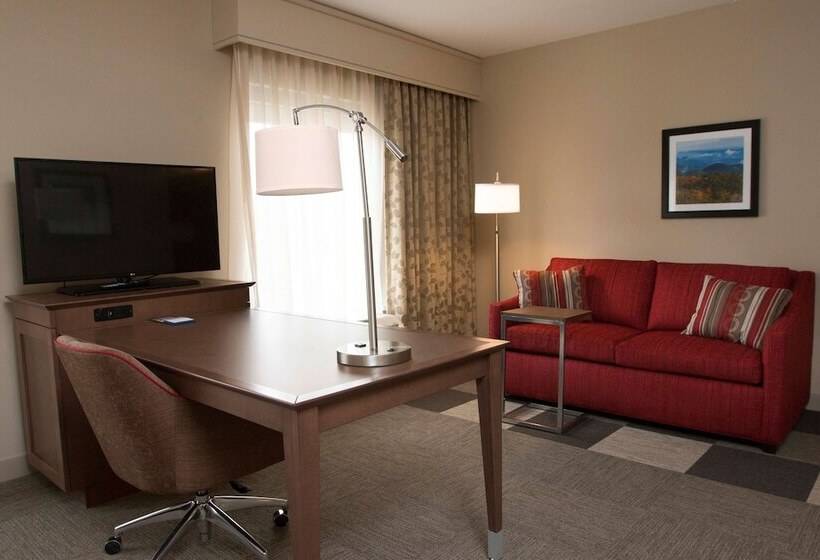 إستوديو قياسى سرير مزدوج, Hampton Inn & Suites Boone