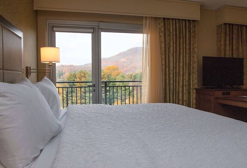 إستوديو قياسى سرير مزدوج, Hampton Inn & Suites Boone