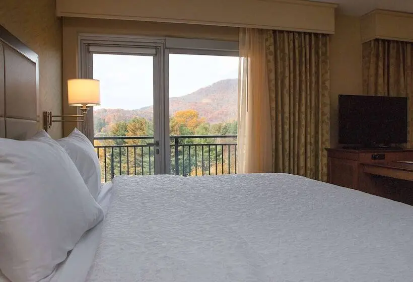 ダブルベッドのスタンダードスタジオ, Hampton Inn & Suites Boone