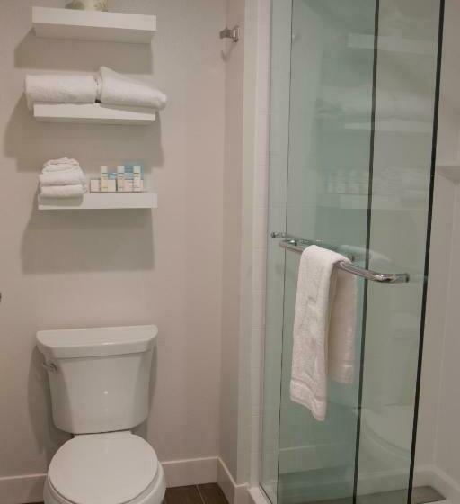 جناح ديلوكس سرير كينج, Hampton Inn & Suites Boone