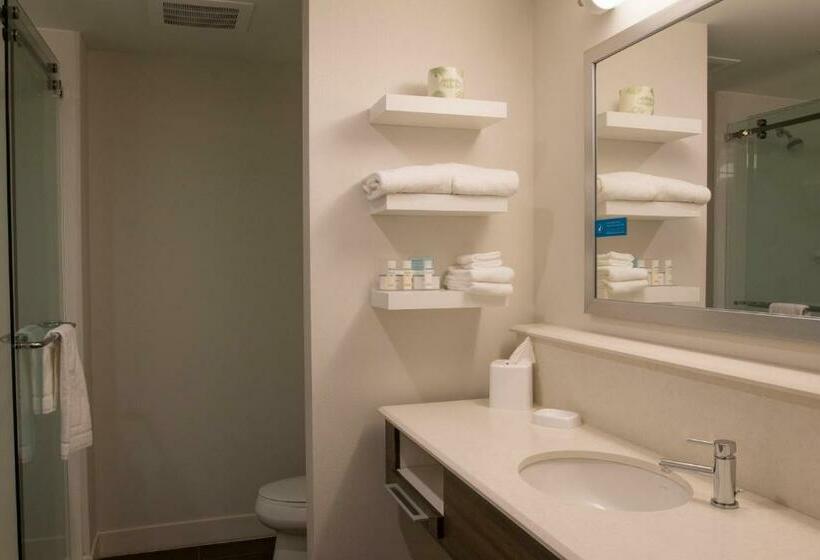 غرفة قياسية سرير كينج, Hampton Inn & Suites Boone