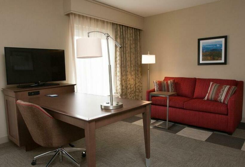 جناح ديلوكس سرير كينج, Hampton Inn & Suites Boone