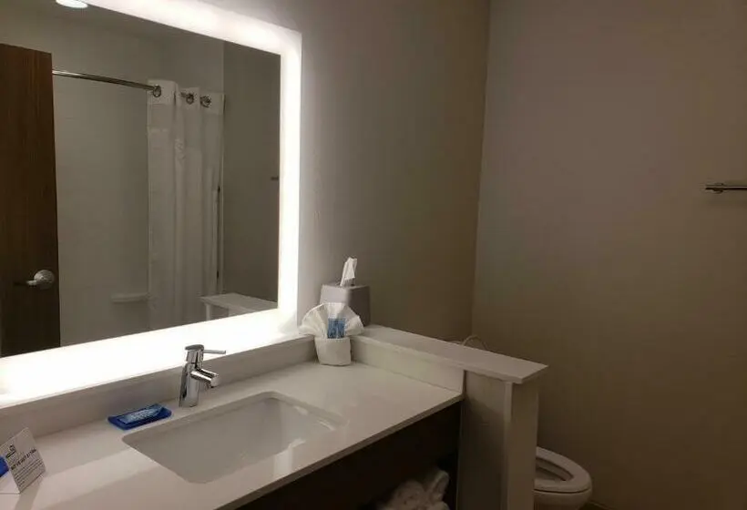 スタンダードルーム, Holiday Inn Express & Suites   Brigham City   North Utah, An Ihg
