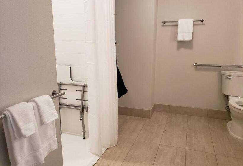 Номер Стандарт Кровать Кинг Адаптированный для Инвалидов, Holiday Inn Express & Suites   Brigham City   North Utah, An Ihg