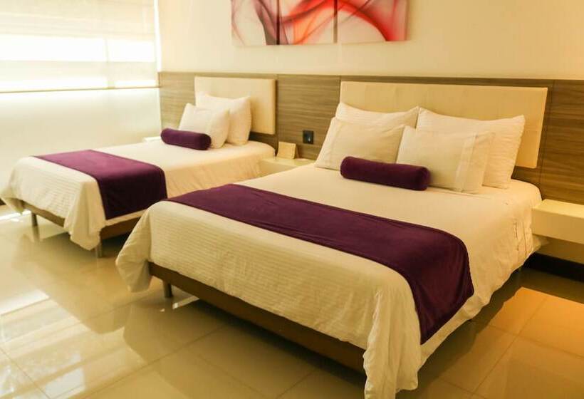 Quarto Estandar, Loyds