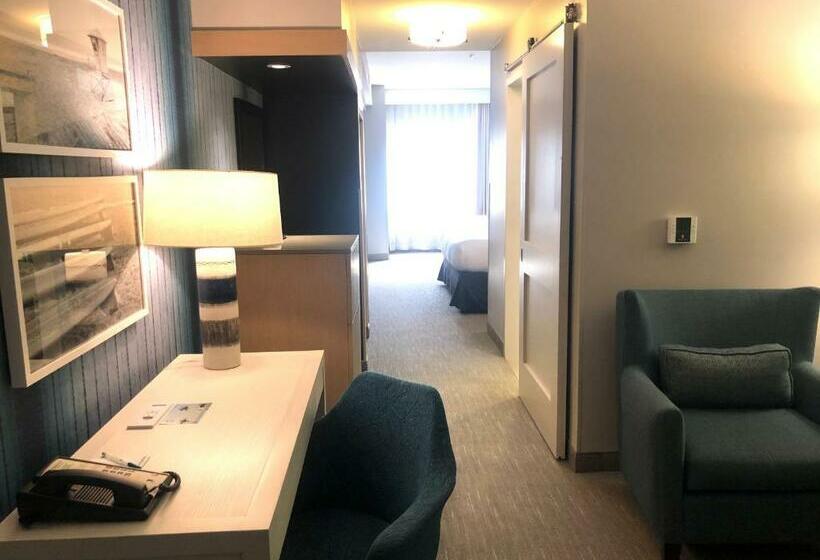 キングサイズベッドのスタンダードルーム, Suncoast Park Hotel Anaheim Resort, Tapestry By Hilton