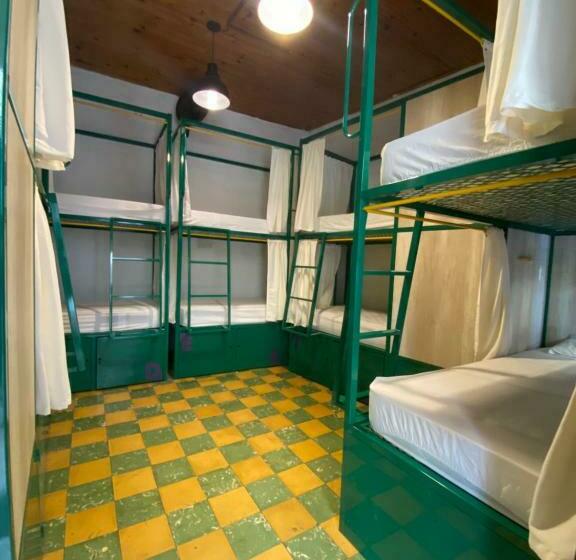 共同バス付シェアルーム, Viajero Hostel Cali & Salsa School