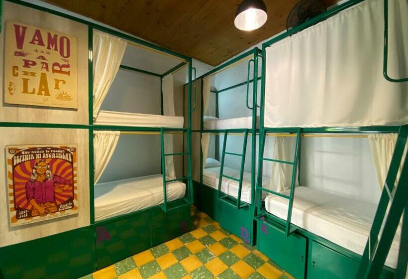 공용 욕실 구비 공동 객실 내의 침대, Viajero Hostel Cali & Salsa School