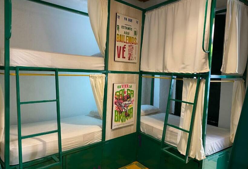 共同バス付シェアルーム, Viajero Hostel Cali & Salsa School