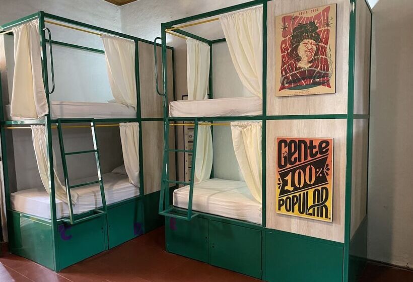 共同バス付シェアルーム, Viajero Hostel Cali & Salsa School