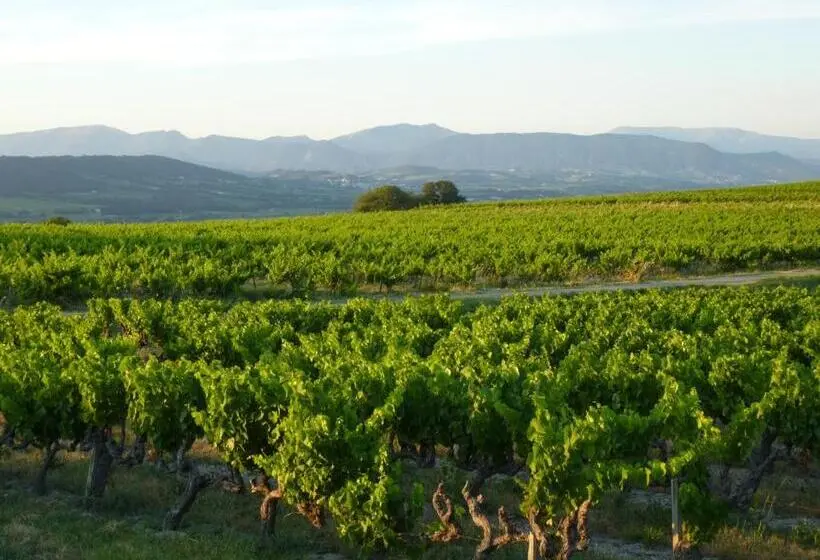 3ベッドルームアパートメント, Chambres D Hôtes Climatisées Avec Cuisine D été Villa Gour Du Peyrol