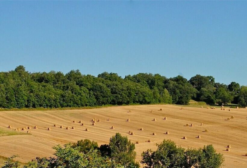 Suite Deluxe, Domaine De Perches