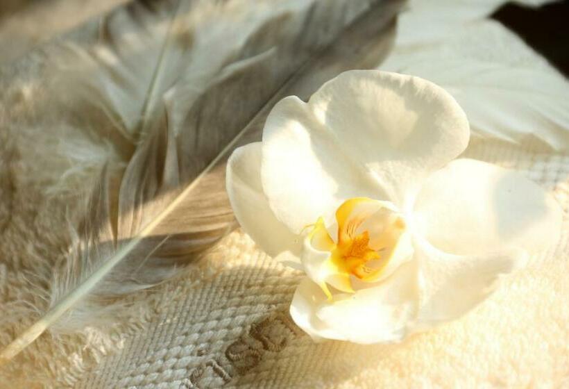 اتاق استاندارد با چشمانداز استخر, Le Clos De Bénédicte