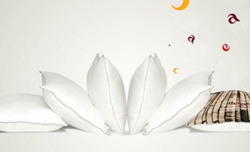 חדר סטנדרט, Ace Hotel Annecy