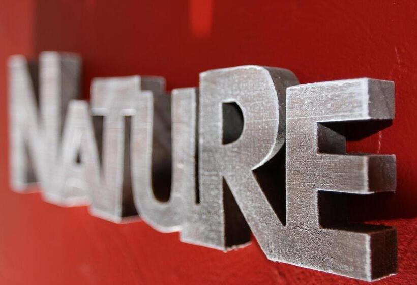 带大床的高级房间, Les Alisiers