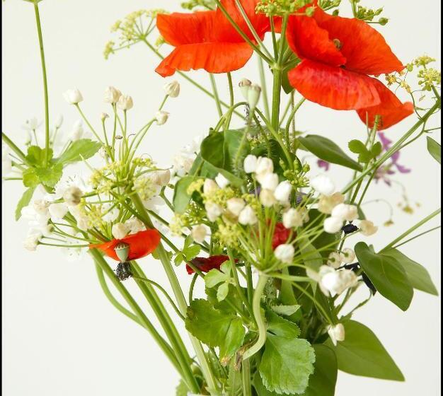 스탠다드 룸 풀장 전망, La Maison Rouge D Uzes B&b