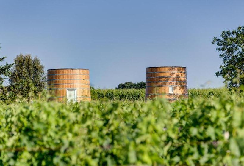 标准工作室, Coup 2 Foudres