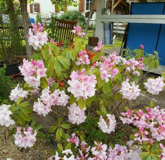 شقة غرفتين, Gîte La Charmaie