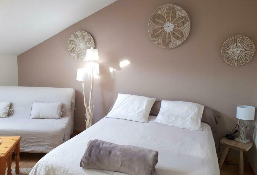 חדר סטנדרט לארבעה, Halte Dodo