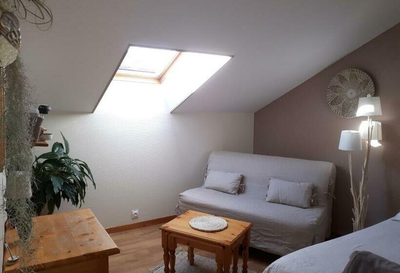 חדר סטנדרט לארבעה, Halte Dodo