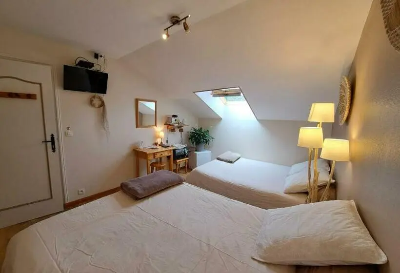 スタンダード４人部屋, Halte Dodo