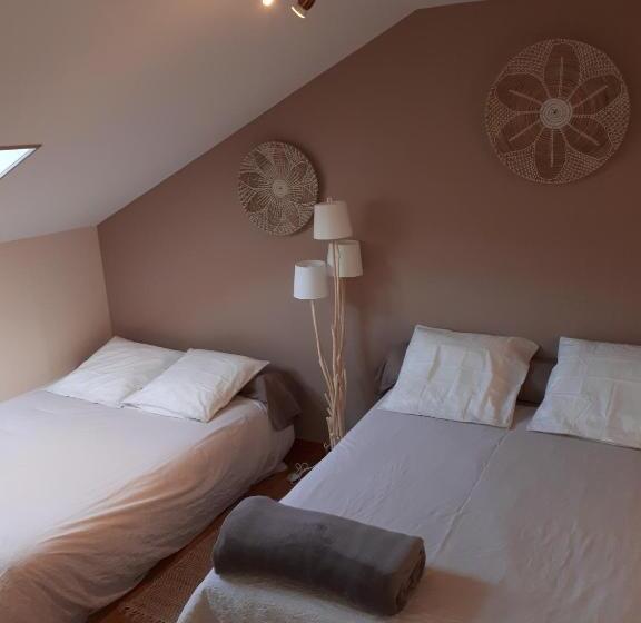 חדר סטנדרט לארבעה, Halte Dodo