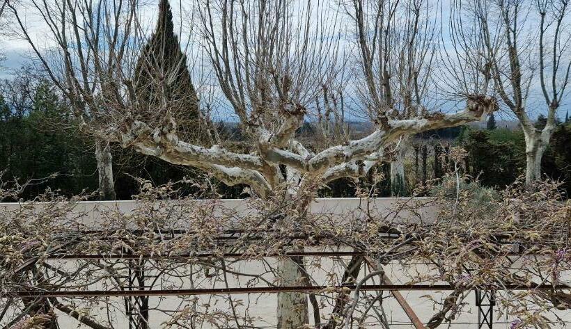 Номер Стандарт, La Bastide Des Arts