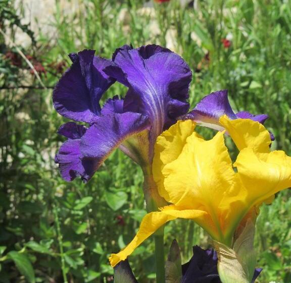 Дом 1 Спальня, La Maison De Marguerite