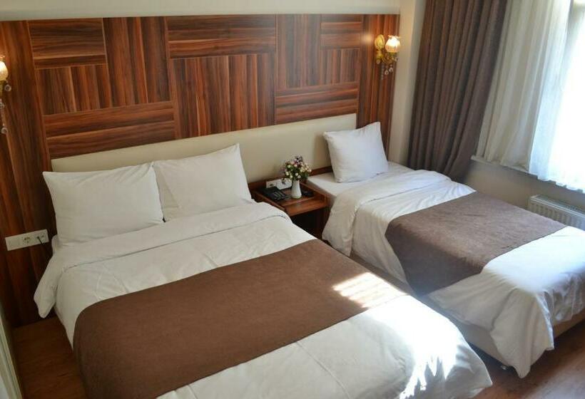 スタンダードトリプルルーム, Grand Fatih