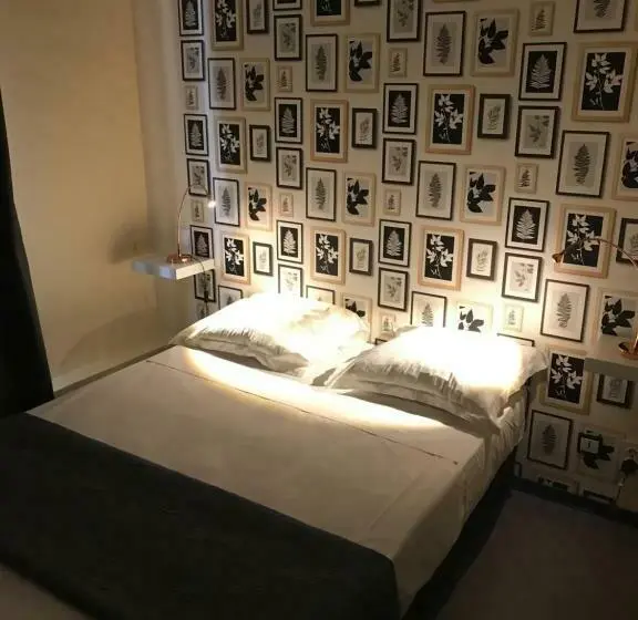 اتاق سوپریور, Hôtel Beauséjour