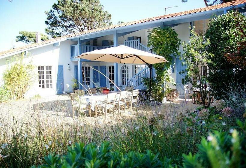 غرفة قياسية, Chambre D'hôtes Etchebri