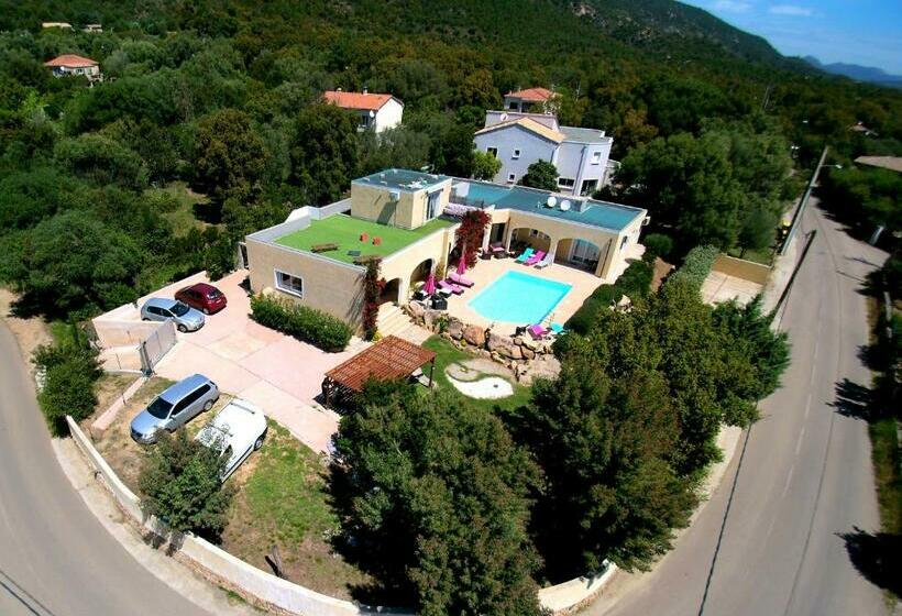 اتاق سوپریور, Cyrnea B&b Adults Only