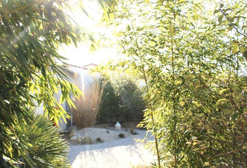 إستديو عائلى, Fleur De Ré