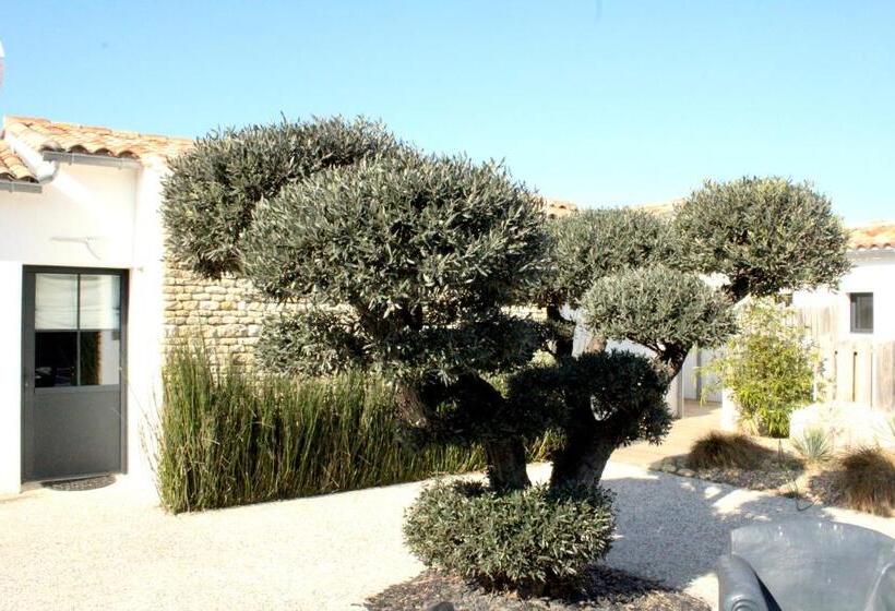 إستديو عائلى, Fleur De Ré