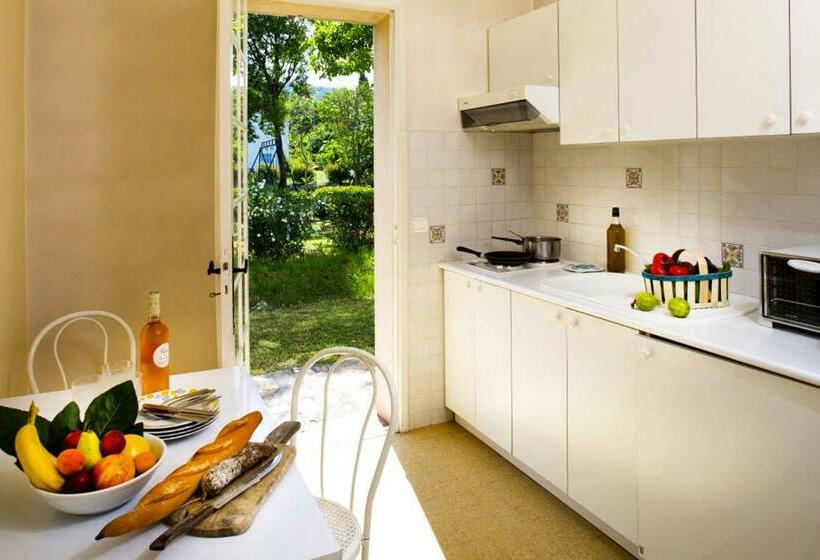 חדר סטודיו סטנדרד, Du Bosquet