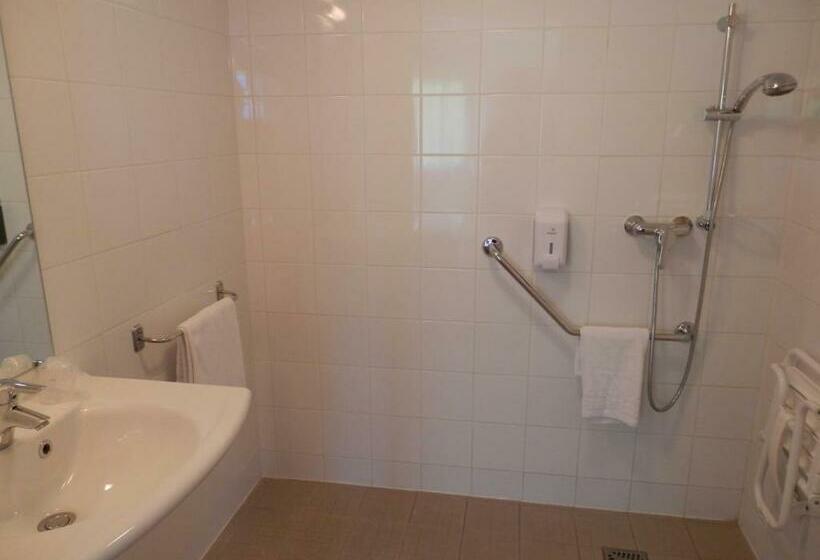 غرفة قياسية لذوى الاحتياجات الخاصة, Everhotel De Tarbes Ibos