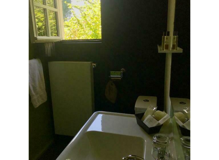 غرفة قياسية, La Grenouillère