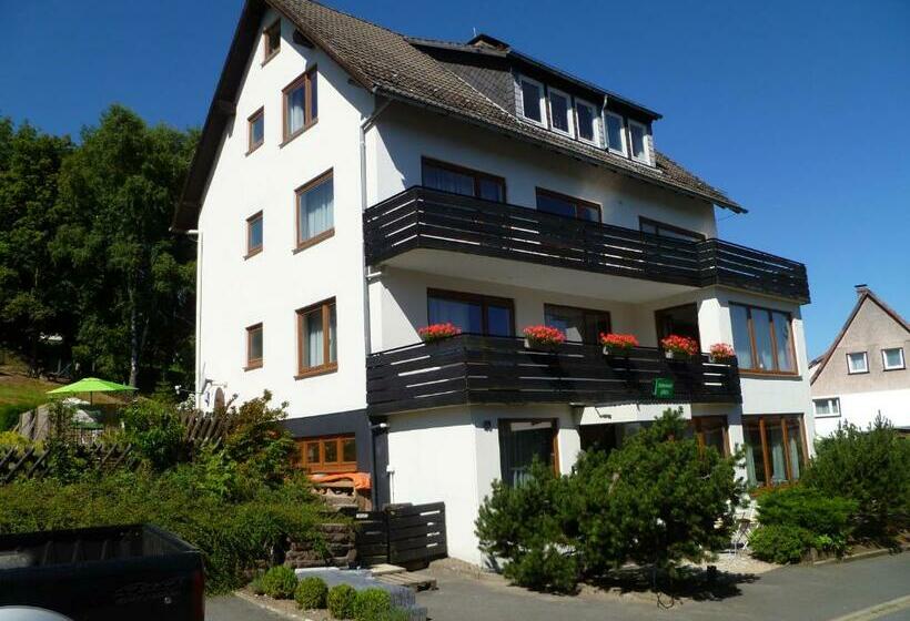 スタンダードシングルルーム, Orchidee Altenau