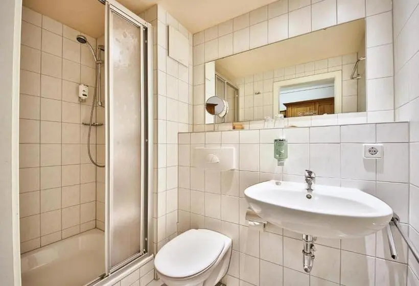 Standard-huone, Bio Hotel Helvetia