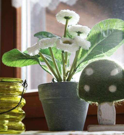 חדר אקונומי יחיד, Beim Nuihausa