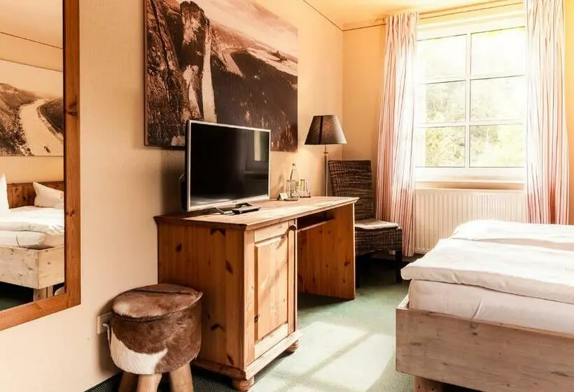 Standard-huone, Bio Hotel Helvetia