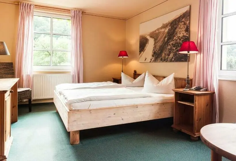 Standard-huone, Bio Hotel Helvetia