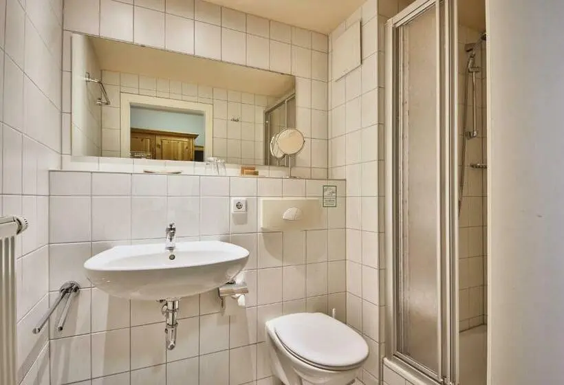 Economy-huone, Bio Hotel Helvetia