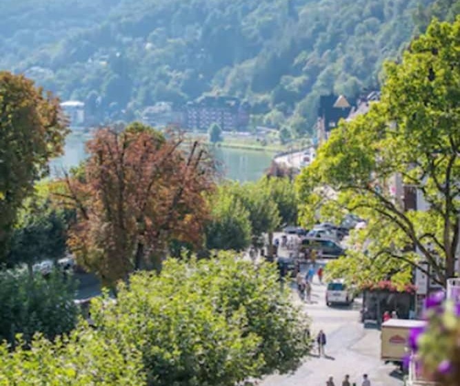 Номер Superior, Cochemer Jung