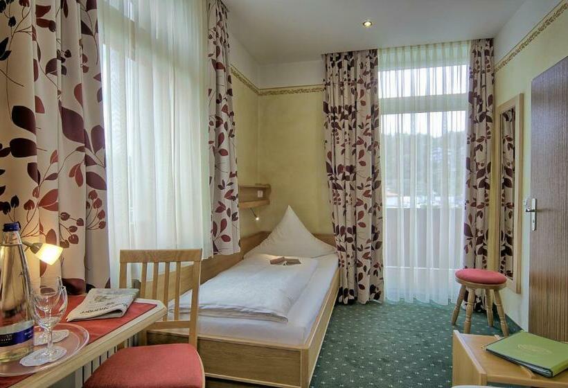 スタンダードシングルルーム, Gruenberger