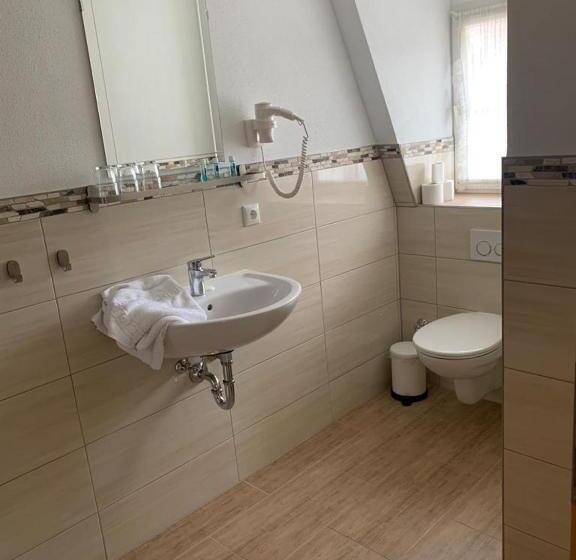 חדר סטנדרט לשלושה, Hocher