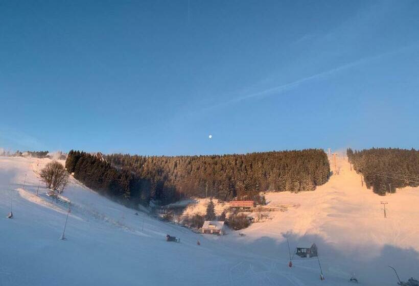 マウンテンビュースタンダードルーム, K1 Sport