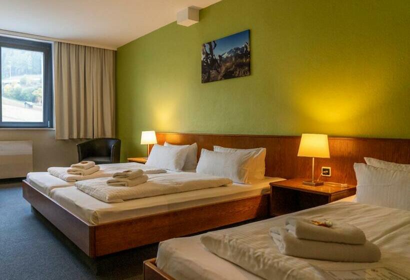 スタンダードトリプルルーム, K1 Sport