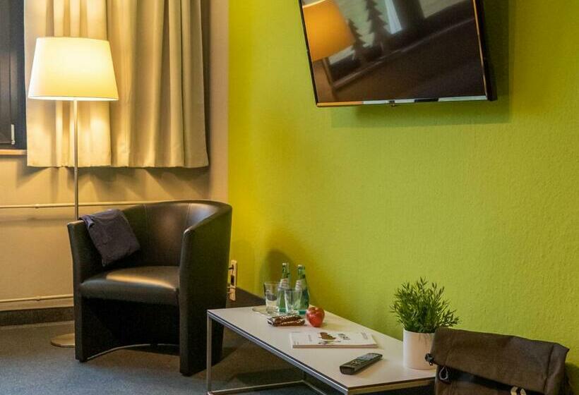 スタンダードルーム, K1 Sport