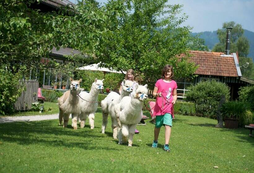 Одноместный Номер с Террасой, Landhaus Benediktenhof